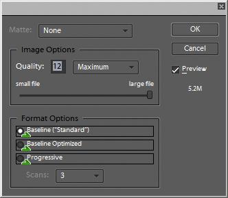 When you select JPEG for the format and click Save, the JPEG Options dialog box opens, as shown in Figure 3-13.