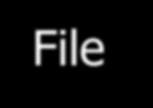 File Systems q Files