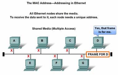 The Ethernet MAC Address Physical address, Layer 2 address A 48-bit number that uniquely identifies an interface connected to the media The Ethernet MAC Address Example: 00-07-E9-42-AC-28 The IEEE