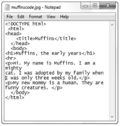 It should look like this in Notepad: Step 2 Save the document as: muffins.html.