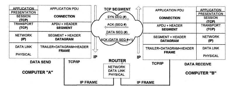 TCP/IP and OSI [Adopted from FREEMAN, Roger, Fundamentals of Communications] Another layer 4 protocol, User Datagram Protocol, is also popular in the cyber world.