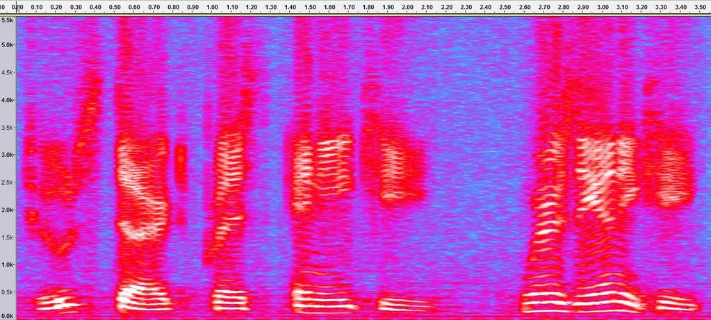 Preferences Spectrograms FFT Window