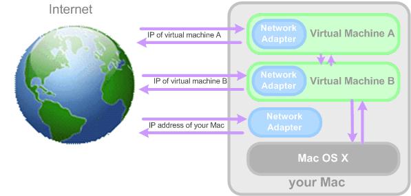 Working With Virtual Machines 110 Bridged Ethernet Networking When operating in the Bridged Ethernet mode, your virtual machine appears on the network as a stand-alone computer with its own IP