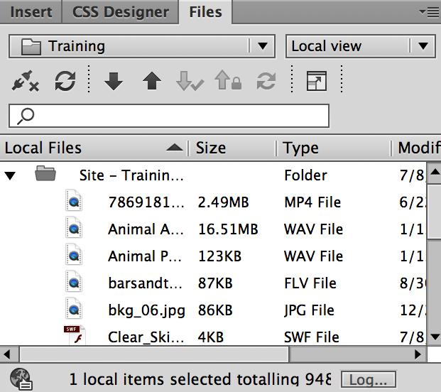 Files Panel Enables you to view files and folders, whether they are associated with a