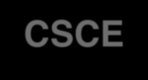 CSCE 548