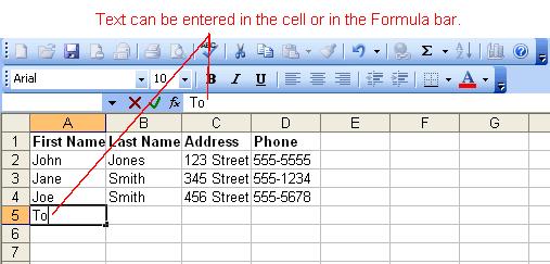 Type the data. An insertion point appears in the cell as the data is typed. The data can be typed in either the cell or the Formula bar.