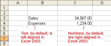 You've probably noticed by now that Excel 2003 left-aligns text (labels) and right-aligns numbers (values). This makes data easier to read. You do not have to leave the defaults.