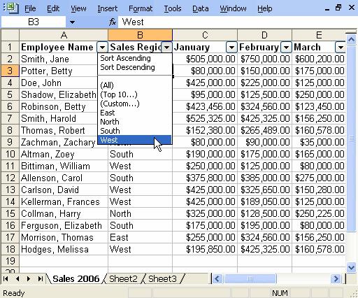 6. Advanced Microsoft Excel Topics 6.1 Using The AutoFilter Using AutoFilter The AutoFilter feature makes filtering, or temporarily hiding, data in a spreadsheet very easy.