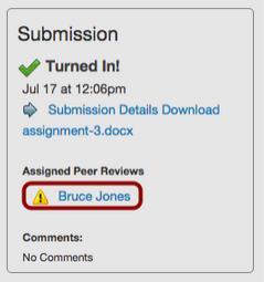When you open a Peer Review discussion, click on the Review Now link to make your comments.