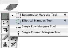 18 LESSON 1 Getting to Know the Work Area Hold down the mouse button over the Rectangular Marquee tool to open the pop-up list of hidden tools, and select the Elliptical Marquee tool.