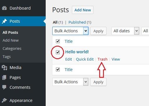 4) Getting started with WordPress 38