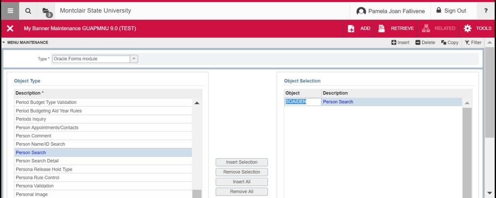 3. Double-click on the form and click on Insert Selection 4.