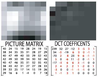 JPEG DCT Coefficients, Example The result of taking the DCT.