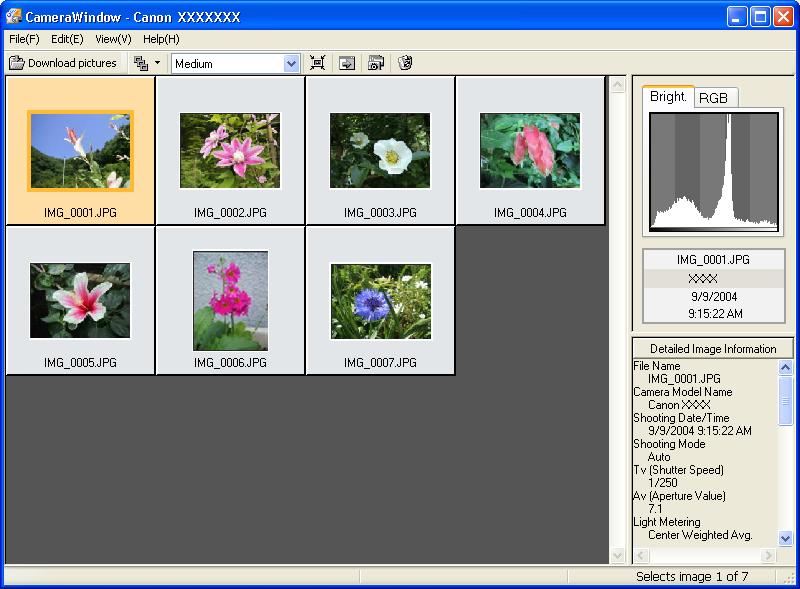 Select images for downloading in the Camera Browser Window. An orange frame displays around selected images.