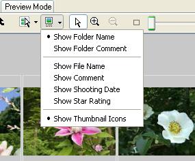 Chapter 4 Viewing Images Changing the Main Window Display Mode (1/4) This section explains the methods for filtering images assigned a special Star Rating and for displaying information other than