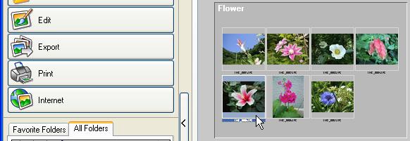 Chapter 5 Organizing Images Moving or Copying Images (3/4) Moving or Copying an Image from the Browsing Area to the Folder Area