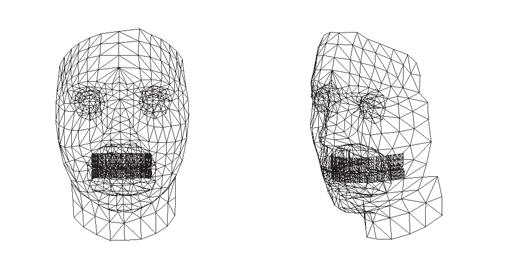 In our research, we use a -D head model[][6] shown in figure 2, and tried to make a -D model of the mouth region.