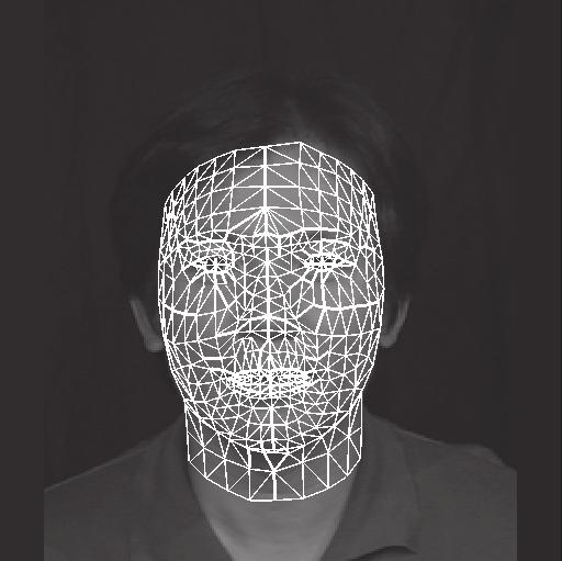 Face fitting tool developed by IPA[9] is a tool to generate a D face model using one s photograph.