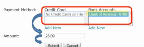 4. Select a bank account or credit card that you have on file, type in the amount you would