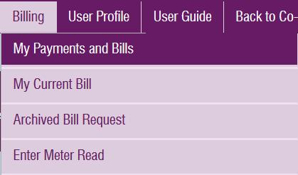 View your bill in more detail To view your bill in more detail,