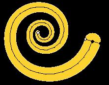 The number of segments determines how many spirals are present; it takes four segments to make one wind.