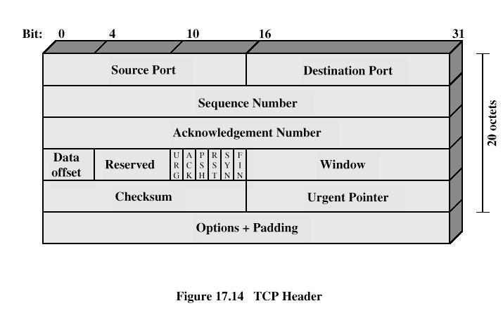 TCP header IIT