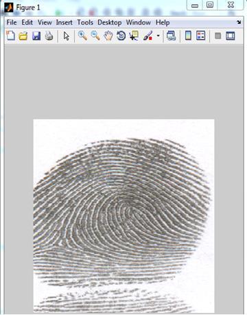 Fig.10. Fingerprint to be classified Fig.11. Resulted class of fingerprint V. PERFORMANCE ANALYSIS The algorithm is written in MATLAB programming language.