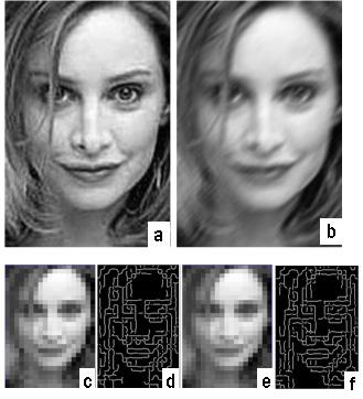 New Structural Similarity Measure for Image Comparison 295 indicate very high similarity for an image undergone blurring or corruption with noise and can be verified visually.
