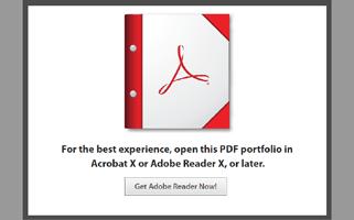 drawings, validation reports, Microsoft Office files, links to web content and other PDF files. Each file in the portfolio can be opened, viewed (for supported formats) and saved independently.