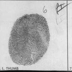 (a) (b) Figure 8: \Fingerprint" images. (a) Original image.