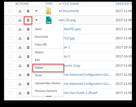 1. Single File Deletion Figure 21 To delete a file, click the "Item Actions" button in the "Actions" column of the selected file and select "Delete" item menu action from the dropdown menu (Figure