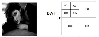 The single DWT transformed two dimensional image into four parts: one part is the low frequency of the original image, the top right contains horizontal details of the image, the one bottom left