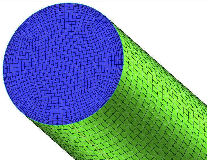 A mesh was generated for the loop geometry; this mesh