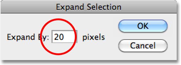 When the Expand Selection dialog box appears, enter a value of around 20 pixels, then click OK: Expand the selection by 20 pixels or so. The edges of the selection will expand outward by 20 pixels.