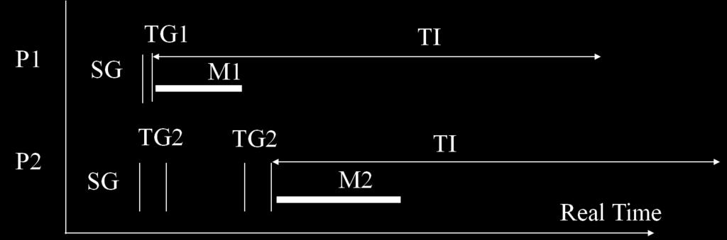 Synchronization Gap (SG) Terminal Gap (TG): 4-128µs