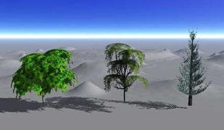Motivation Radiative transfer modeling ( virtual forest scenes) Synthetic models Software packages of computer graphics Often too