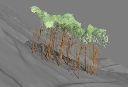 Conclusions and outlook Wooden parts of trees can be reconstructed by digitizing in 2D maps The tree models can be completed by digitizing in maps of different viewpoints The cylinder models show a