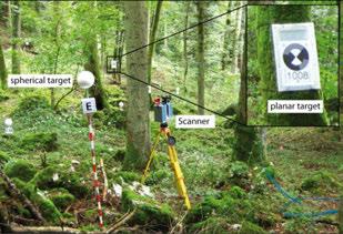 TLS data acquisition Georeferencing 1 st order network GPS Survey grade GPS + Total Station GPS 3 Reference points outside forest Traject trough forest 12 planar Targets measured Free