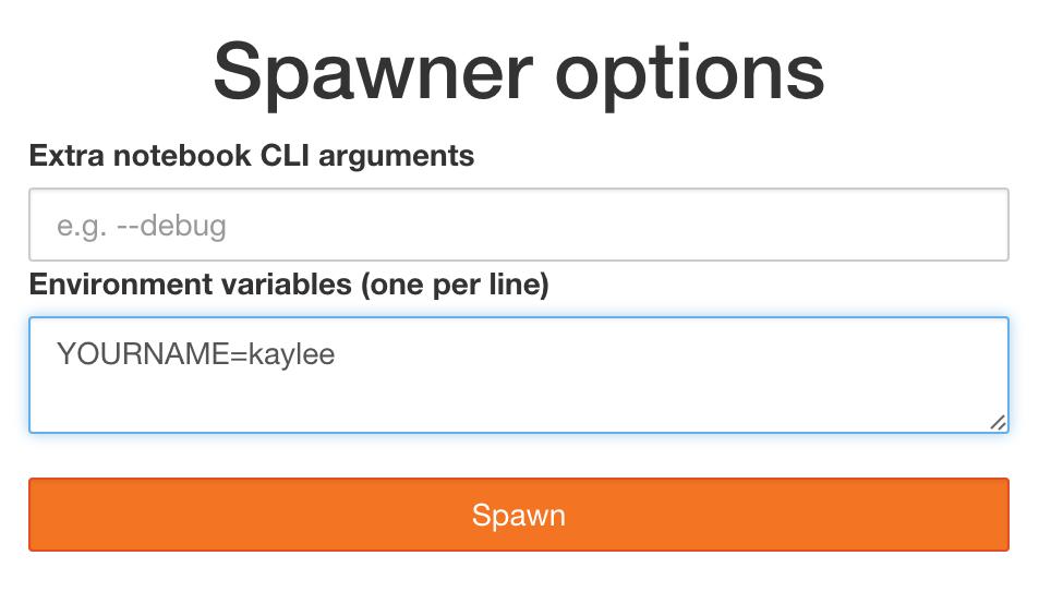 If Spawner.options_form is undefined, the users server is spawned directly, and no spawn page is rendered. See this example for a form that allows custom CLI args for the local spawner. 5.5.1 Spawner.