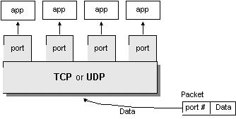 Port To communicate with a computer, you need to specify the address of the host computer and the identity of the receiving