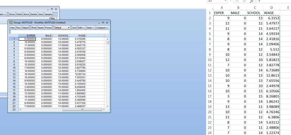 2.4. Go to the Wage data.xlsx file. Then copy and paste data from Excel to Eviews using the usual Ctrl + C and Ctrl V. 2.5.
