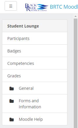 Accessing and Navigating a Course To access your course, navigate to your dashboard. Once on the dashboard, under the Course Overview Block (see page 2), click Courses.