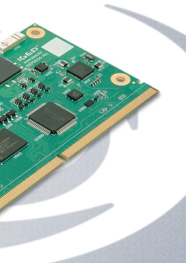 RELATED PRODUCTS IGEP TM SMARC TM EXPANSION BOARD The expansion board is a fully equipped baseboard that access to almost all IGEP TM SMARC TM AM335x functionalities.
