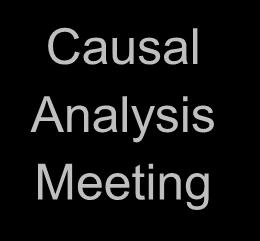 Defect Causal Analysis (DCA)