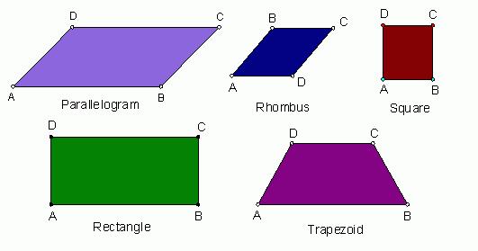 Quadrilateral Definition: Any