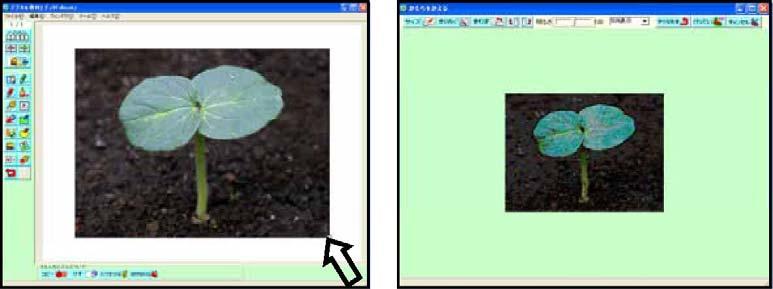 Images can be moved using drag and drop until their locations are fixed. To resize an image, drag the white square at the bottom right corner.