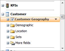 c. Find Customer Geography in the check box list and check it Figure 14
