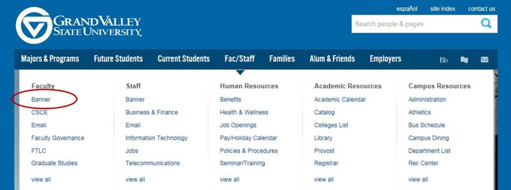 2. Select the Banner link under the Faculty column.