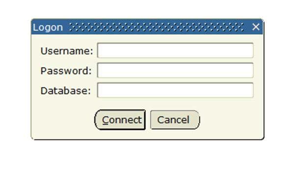 4. Log in to Internet Native Banner using your Network ID (the
