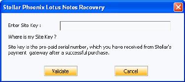 When you receive the site key, open Stellar Phoenix Lotus Notes Recovery, on the Activation menu, select Manual Registration.